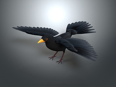 Modern Crow Birds 3d model