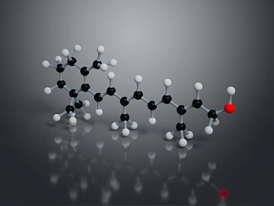 3D Molecular Structure Model with Carbon Chain Hydrogen and Oxygen Atoms 3d model