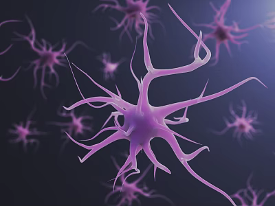 Purple Brain Neurons With Complex Dendrites Structure 3D Rendered On Dark Background 3d model
