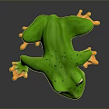 Frog Class Poison Frog Game Frog Reptile Cold Blooded Animal Reptile Class 3d model
