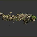 Miniature Plant Landscape With Green Moss Small Mushrooms Tree Roots And Green Leaves