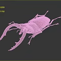 Red Beetle With Large Curved Mandibles On Dark Background Detailed View
