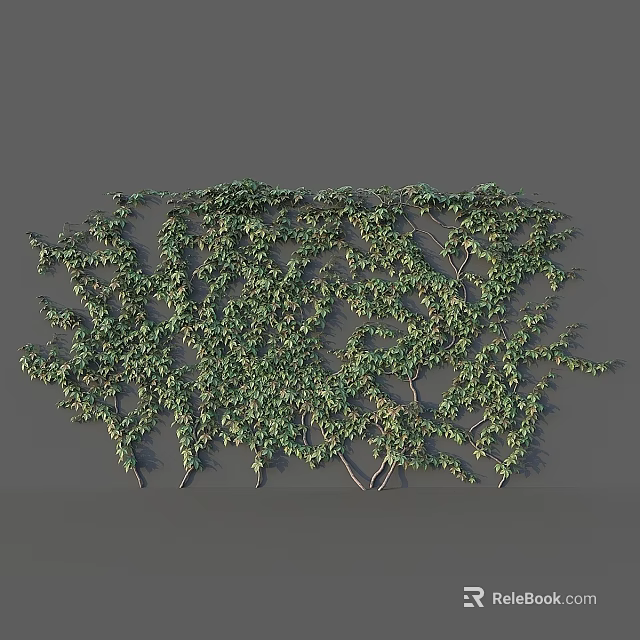 Lush Green Vine Garden Decor Growing On Wall With Natural Branch Pattern And Fresh Leaves 3d model 