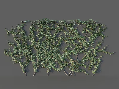 Lush Green Vine Garden Decor Growing On Wall With Natural Branch Pattern And Fresh Leaves 3d model