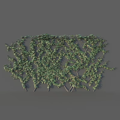 Lush Green Vine Garden Decor Growing On Wall With Natural Branch Pattern And Fresh Leaves 3d model