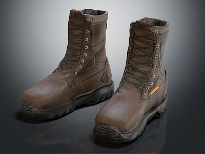 Modern Boots Medium Boots model