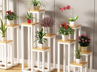 Various Potted Plants Displayed On White Wooden Stands With Green Leaves Red Flowers 3d model