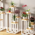 Various Potted Plants Displayed On White Wooden Stands With Green Leaves Red Flowers