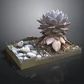 Decorative Succulent Plant in Square Container with Small Stones and Gravel