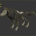 Realistic 3D Wolf Model With Gray Fur And White Markings Standing On Gray Background