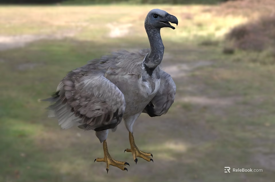 Gray Feathered Vulture With Long Neck And Yellow Talons Standing On Grassy Natural Habitat 3d model 