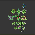Vibrant Flower Plants with Multiple Colors Various Shapes and Green Stems Leaves on Dark Background