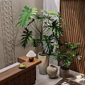 Large And Small Indoor Potted Plants With Wooden Table Decorative Lamp Geometric Pattern Wall