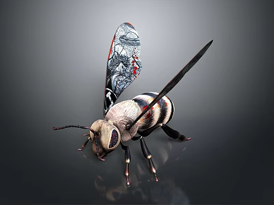 Detailed Insect With Black And White Striped Body And Transparent Red Patterned Wings 3d model