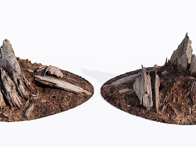 Natural Scenic View of Weathered Wood Pieces and Stones on Soil Mounds 3d model