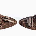 Natural Scenic View of Weathered Wood Pieces and Stones on Soil Mounds