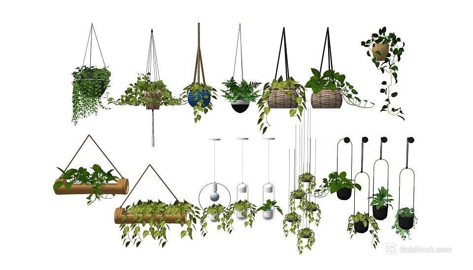 Hanging Basket Plants With Various Designs And Lush Green Foliage For Home Decoration 3d model 