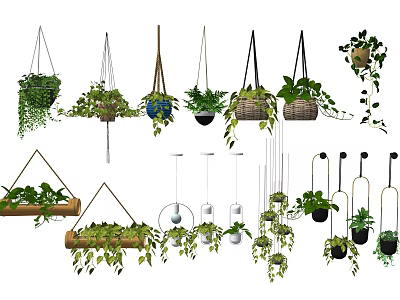 Hanging Basket Plants With Various Designs And Lush Green Foliage For Home Decoration 3d model