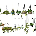 Hanging Basket Plants With Various Designs And Lush Green Foliage For Home Decoration