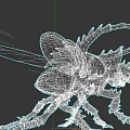 Detailed 3D Scary Insect Model With Spikes Glowing Eyes and Wings