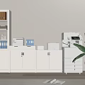 Modern Office Workspace With White Cabinets Bookshelf Globe Printer And Green Plant