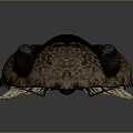 Detailed Trilobite 3D Model Featuring Compound Eyes Carapace Antennae And Legs