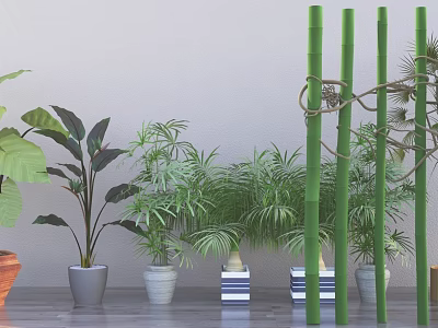 Various Indoor Decorative Bonsai Potted Plants With Green Bamboo Ferns And Striped Ceramic Pots 3d model