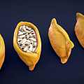 Five Yellow Pod Containers Filled With Various Beans And Green Leaf On Left