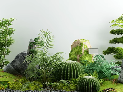 Lush Courtyard Garden Featuring Bamboo Rocks Cactus Ferns and Moss Covered Stones 3d model