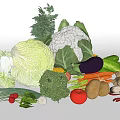 Assorted Fresh Vegetables Including Cabbage Cauliflower Broccoli Carrots Tomatoes Potatoes On White Background
