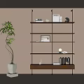 Modern Minimalist Shelving Unit With Wooden Shelves Books Decor Items And Potted Plant