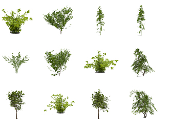 Modern shrubs 3d model