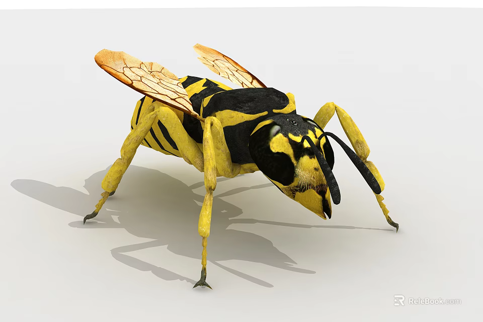 Close Up View of Yellow and Black Striped Wasp with Transparent Wings and Body Details 3d model 