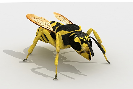 Modern Bees 3d model