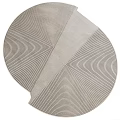 Modern Shape Carpet Round Carpet 3d model