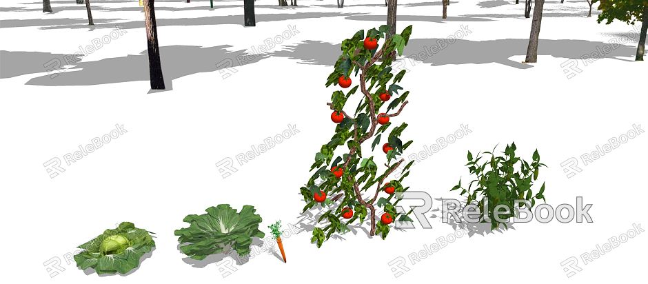 Modern Vegetable Plants model