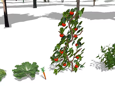 Fresh Vegetables in Garden with Red Tomato Vines Green Cabbage and Carrot 3d model