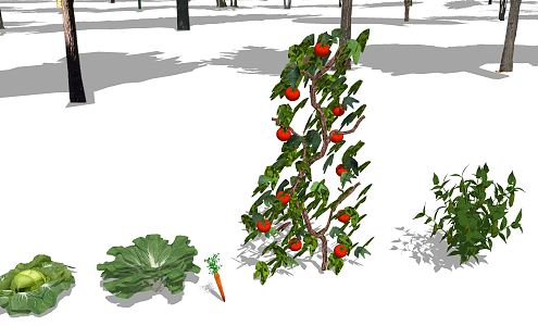 Modern Vegetable Plants 3d model