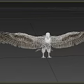 Majestic Eagle Spreading Wings with Detailed Feathers in Flight Stance Against Neutral Background