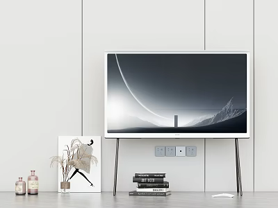 Modern TV In Minimalist Living Room With Decor And Books 3d model