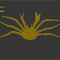Orange Giant Crab With Long Legs And Textured Shell On Dark Reflective Surface