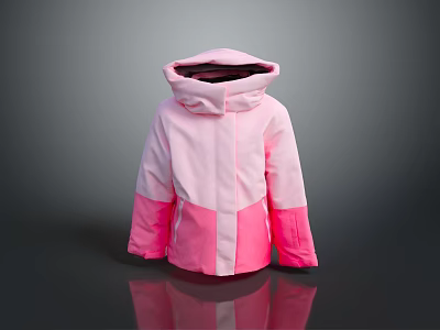 Stylish Pink Hooded Jacket Featuring Color Block Design And Casual Look 3d model