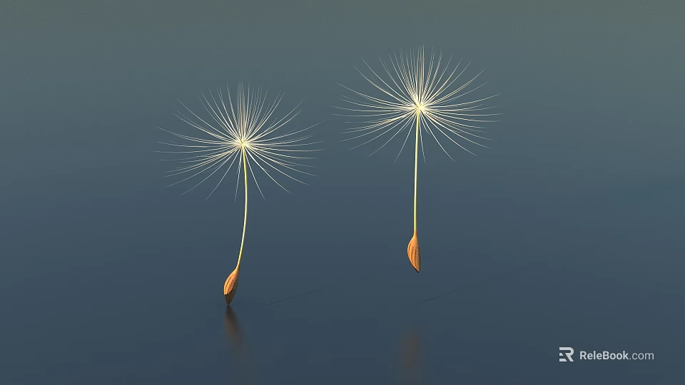 Dandelion Seed Heads As Ground Cover In Natural Garden Setting 3d model 