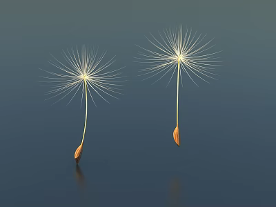 Dandelion Seed Heads As Ground Cover In Natural Garden Setting 3d model