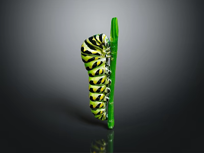 Green and black striped caterpillar crawling on a green leaf isolated on dark background 3d model