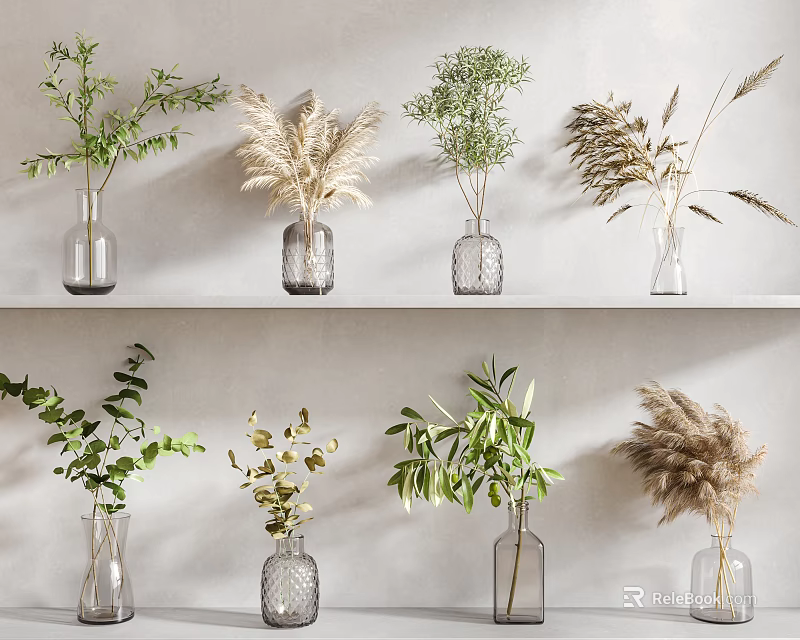 Glass Vases With Green Plants And Dried Flowers Arranged On Shelves Against Light Gray Wall 3d model 