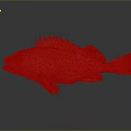 Colorful Red Orange Spotted Fish With Spiky Fins Blue Eyes And Vibrant Scales