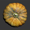 Fresh Yellow Striped Speckled Pumpkin With Reflection On Black Background For Food