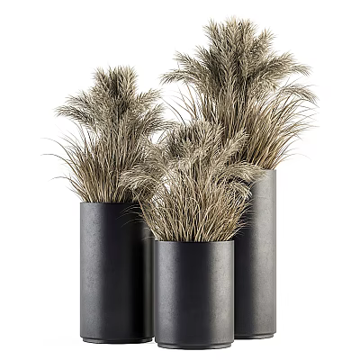 Modern Black Cylindrical Vases With Dried Grass Flowers For Home Decorative Arrangement 3d model