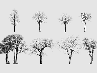 Black and White Tree Silhouettes with Various Shapes Against Light Gray Background 3d model